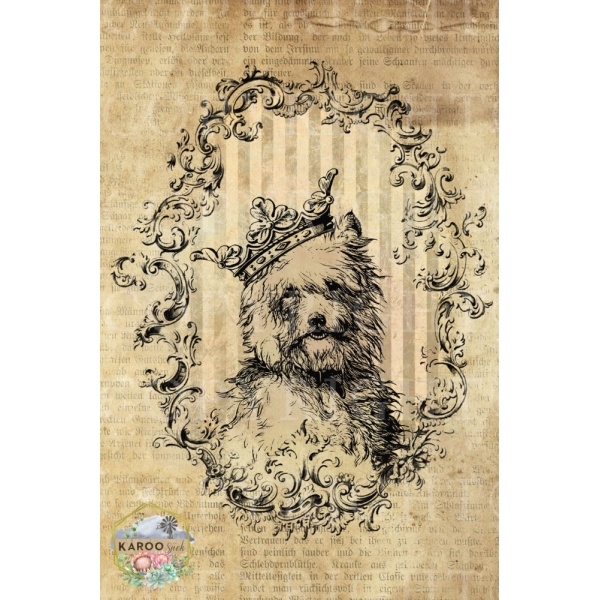 /ksdp/furniture/KS-FP036