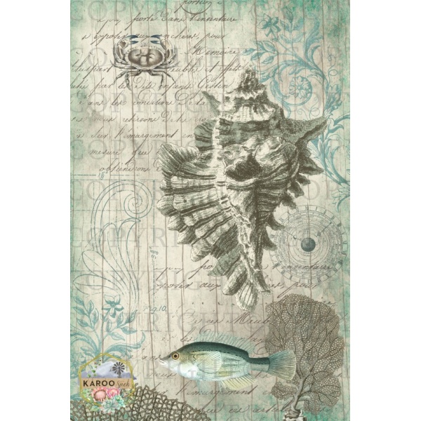 /ksdp/furniture/KS-FP056