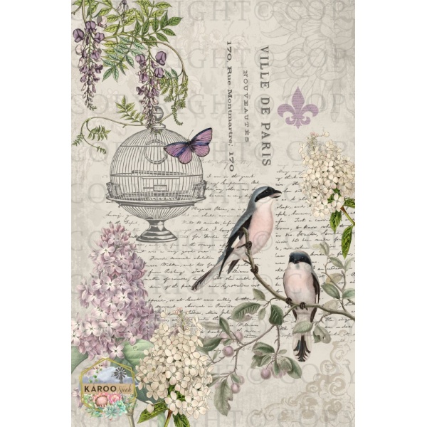 /ksdp/furniture/KS-FP082