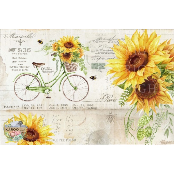 /ksdp/furniture/KS-FP097