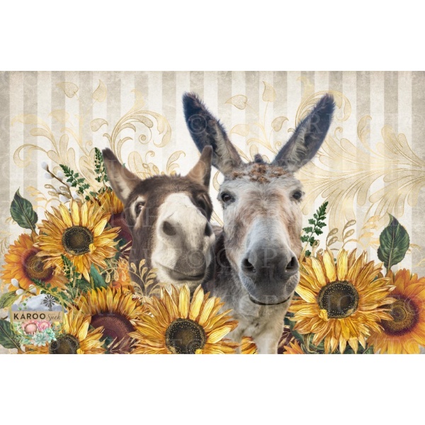 /ksdp/furniture/KS-FP107