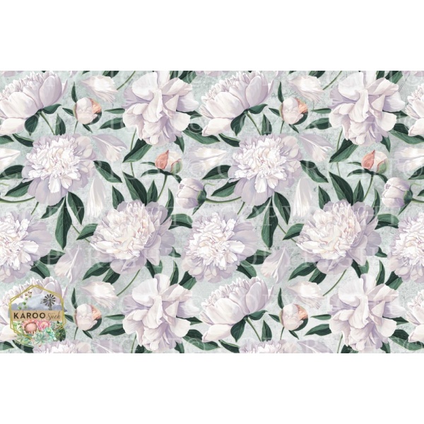 /ksdp/furniture/KS-FP137