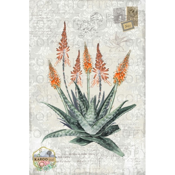 /ksdp/furniture/KS-FP193