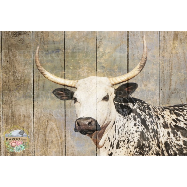 /ksdp/furniture/KS-FP204