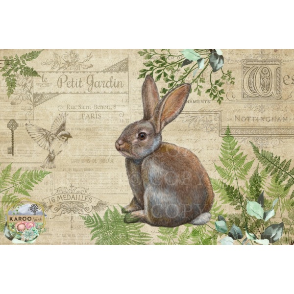 /ksdp/furniture/KS-FP205