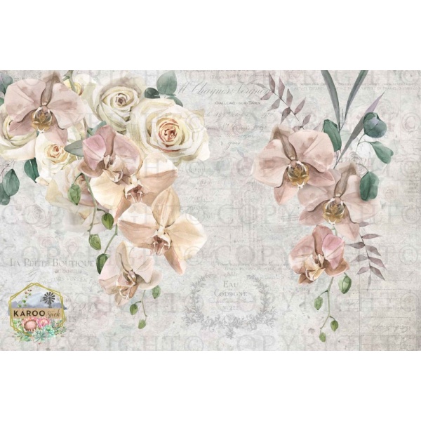 /ksdp/furniture/KS-FP209