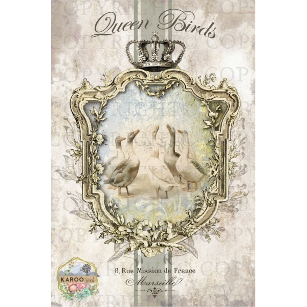 /ksdp/furniture/KS-FP260