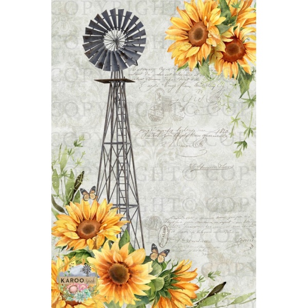 /ksdp/furniture/KS-FP292