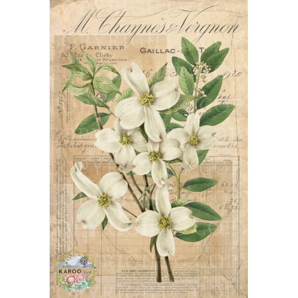 /ksdp/furniture/KS-FP353