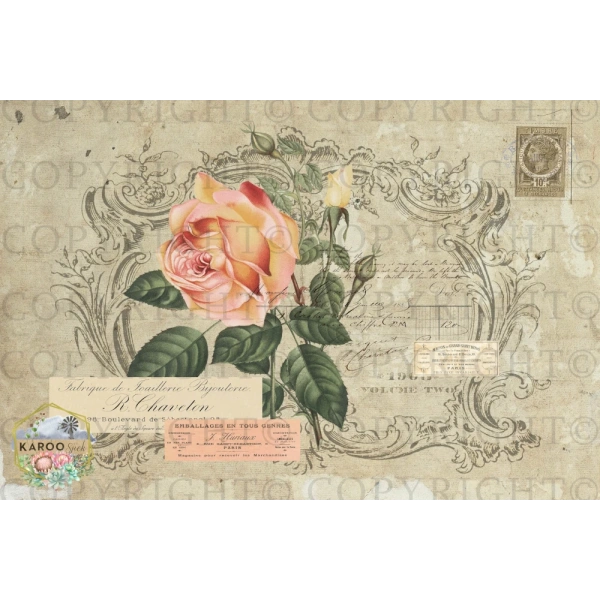 /ksdp/furniture/KS-FP363