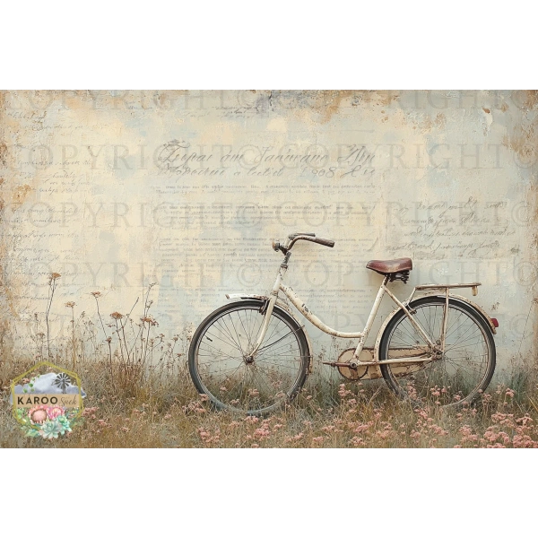 /ksdp/furniture/KS-FP374