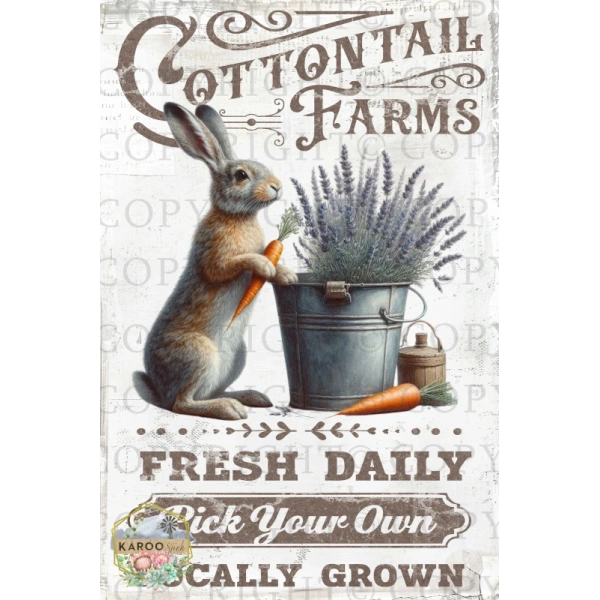 /ksdp/furniture/KS-FP382