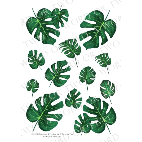 /waterslides/KS-WS004