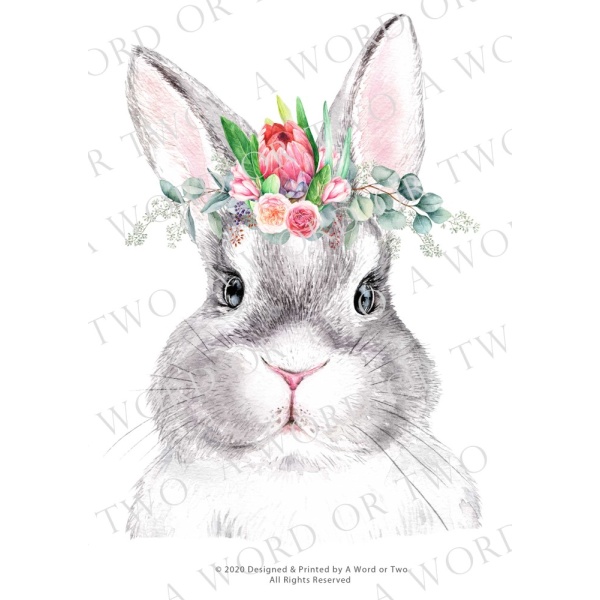 /waterslides/KS-WS014