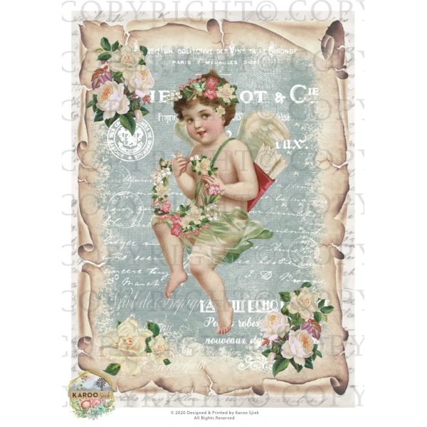 /waterslides/KS-WS021