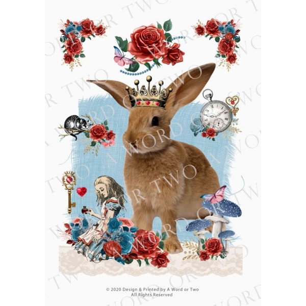 /waterslides/KS-WS035