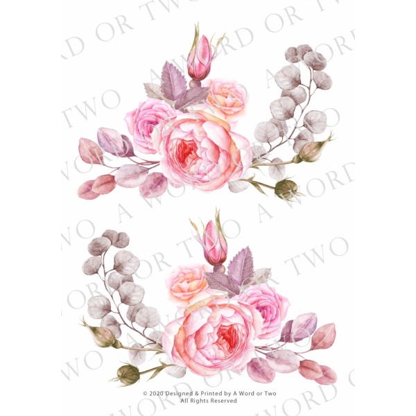 /waterslides/KS-WS036