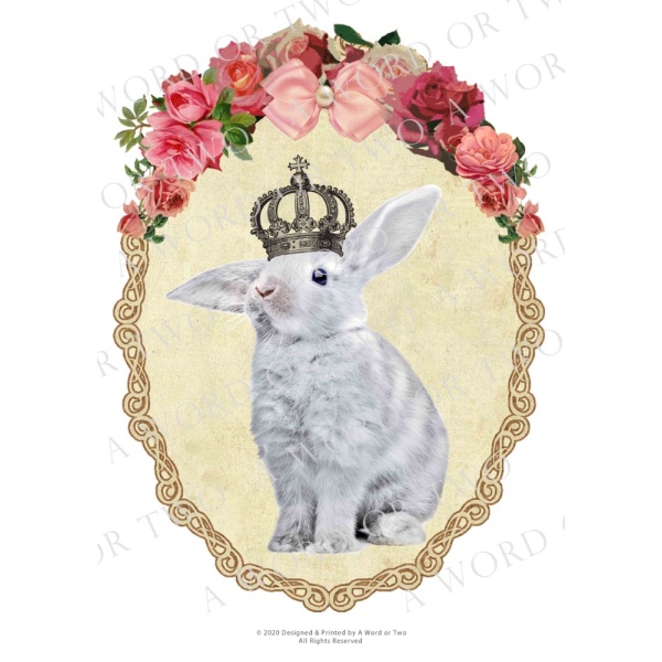 /waterslides/KS-WS044