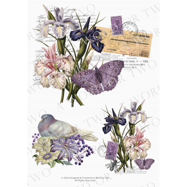 /waterslides/KS-WS052