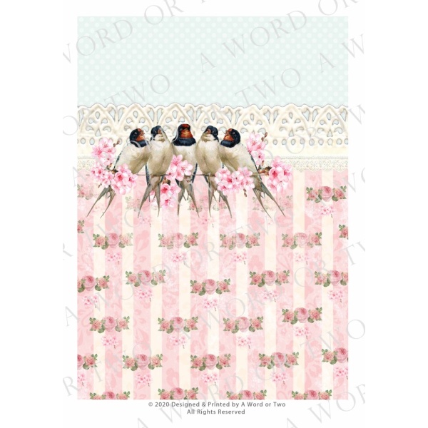 /waterslides/KS-WS059