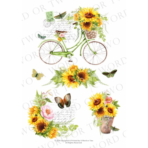 /waterslides/KS-WS061