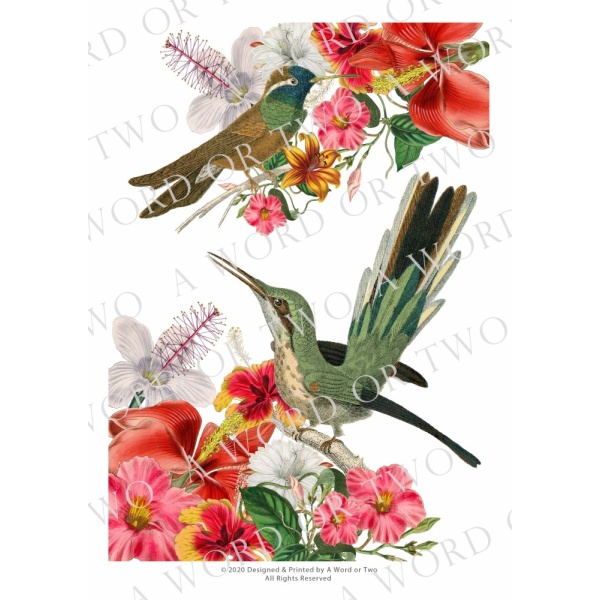 /waterslides/KS-WS065