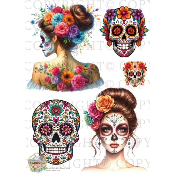 /waterslides/KS-WS086