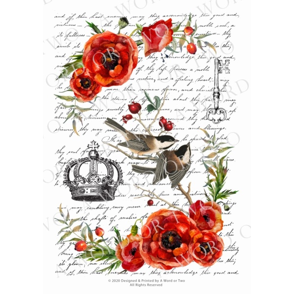 /waterslides/KS-WS095