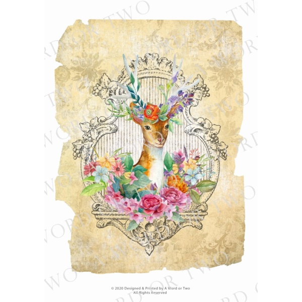 /waterslides/KS-WS098