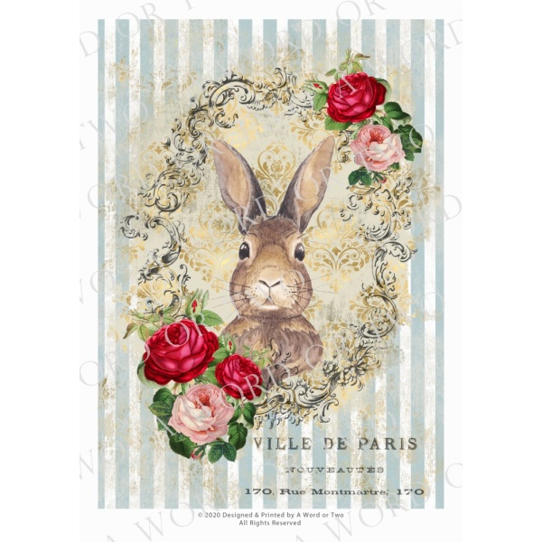 /waterslides/KS-WS107