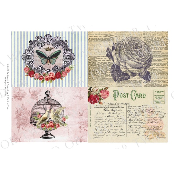 /waterslides/KS-WS129