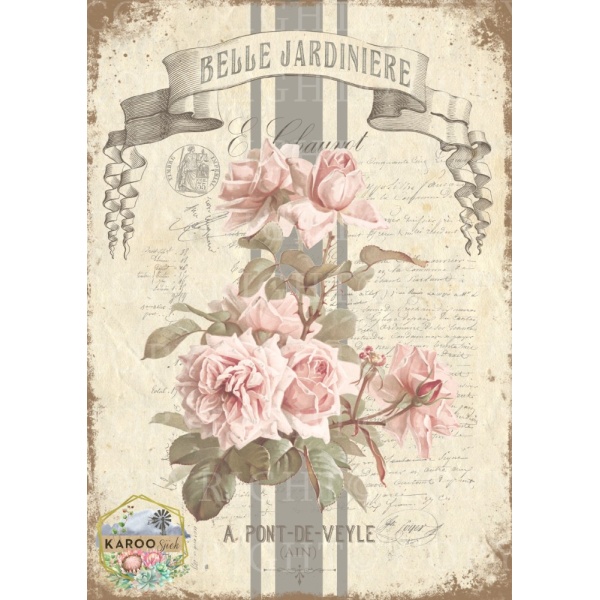 /waterslides/KS-WS157