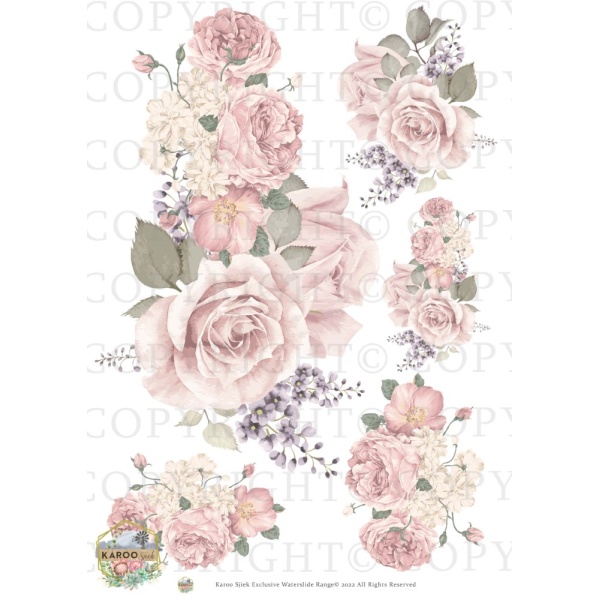 /waterslides/KS-WS158