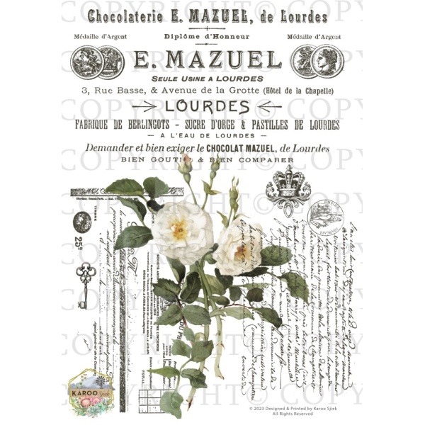 /waterslides/KS-WS164