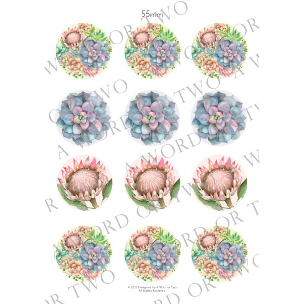 /waterslides/KS-WS172