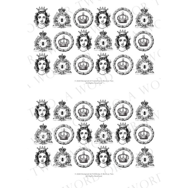 /waterslides/KS-WS175