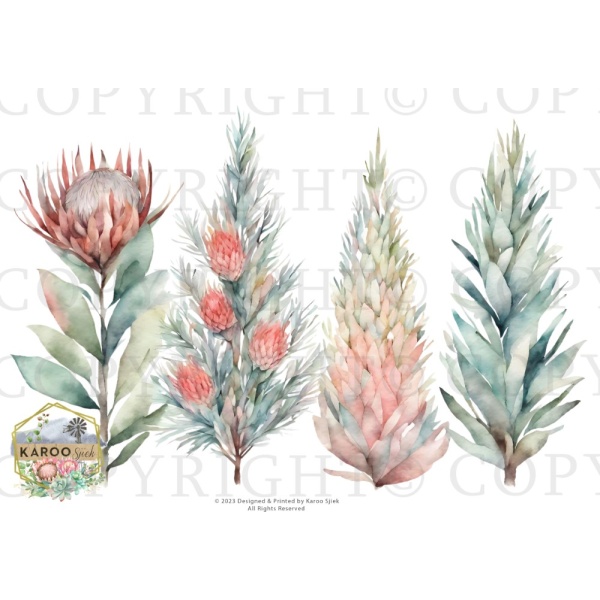 /waterslides/KS-WS180