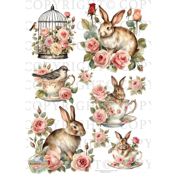 /waterslides/KS-WS183