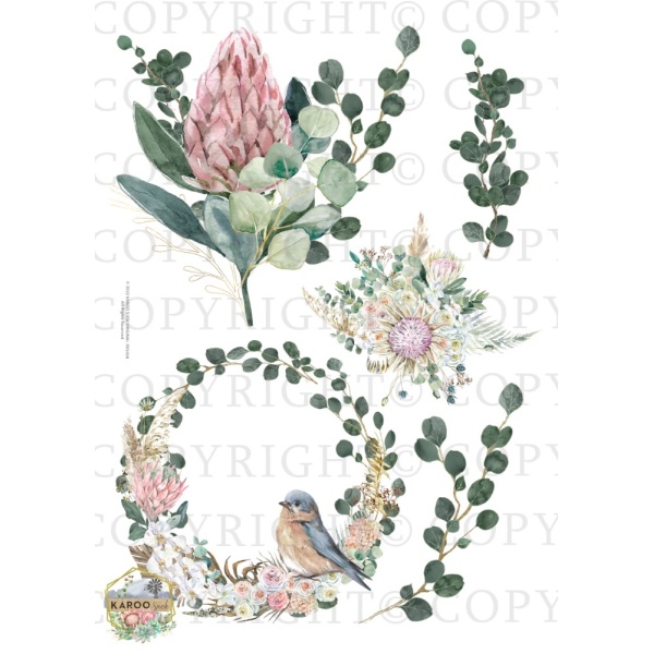 /waterslides/KS-WS187