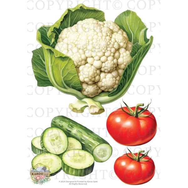 /waterslides/KS-WS197