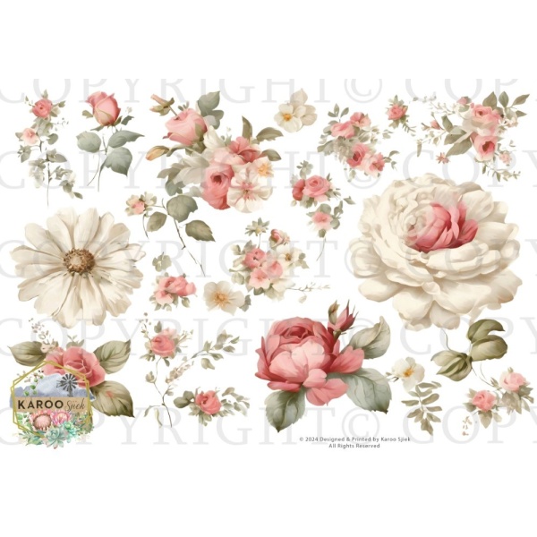 /waterslides/KS-WS203